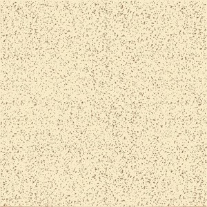 TERRAZO BEIGE AGL FLOOR TILES | RS.72 Sq./Ft | SIZE : 300 X 300 MM